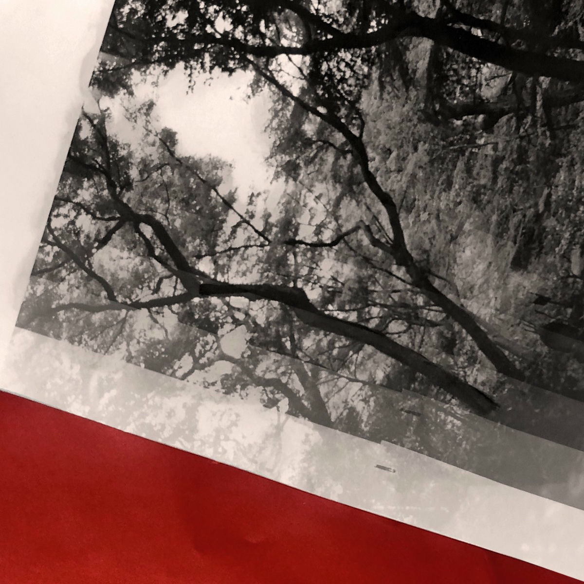 Album cover of Align