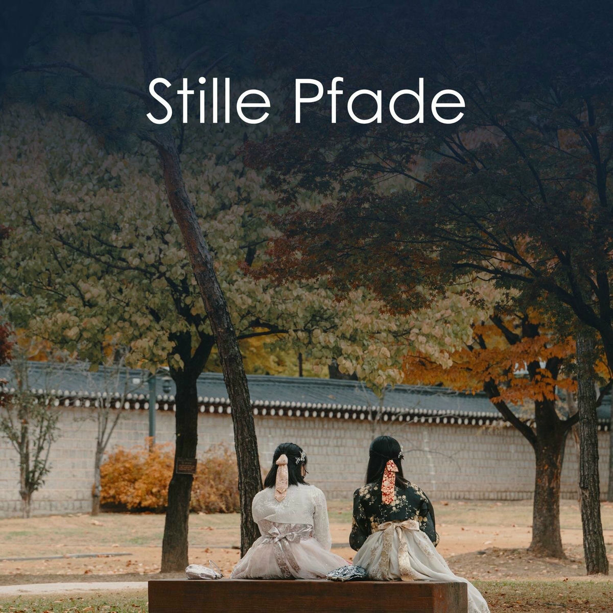 Album cover of Stille Pfade
