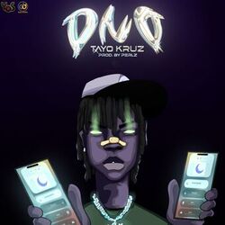 Cover of DND