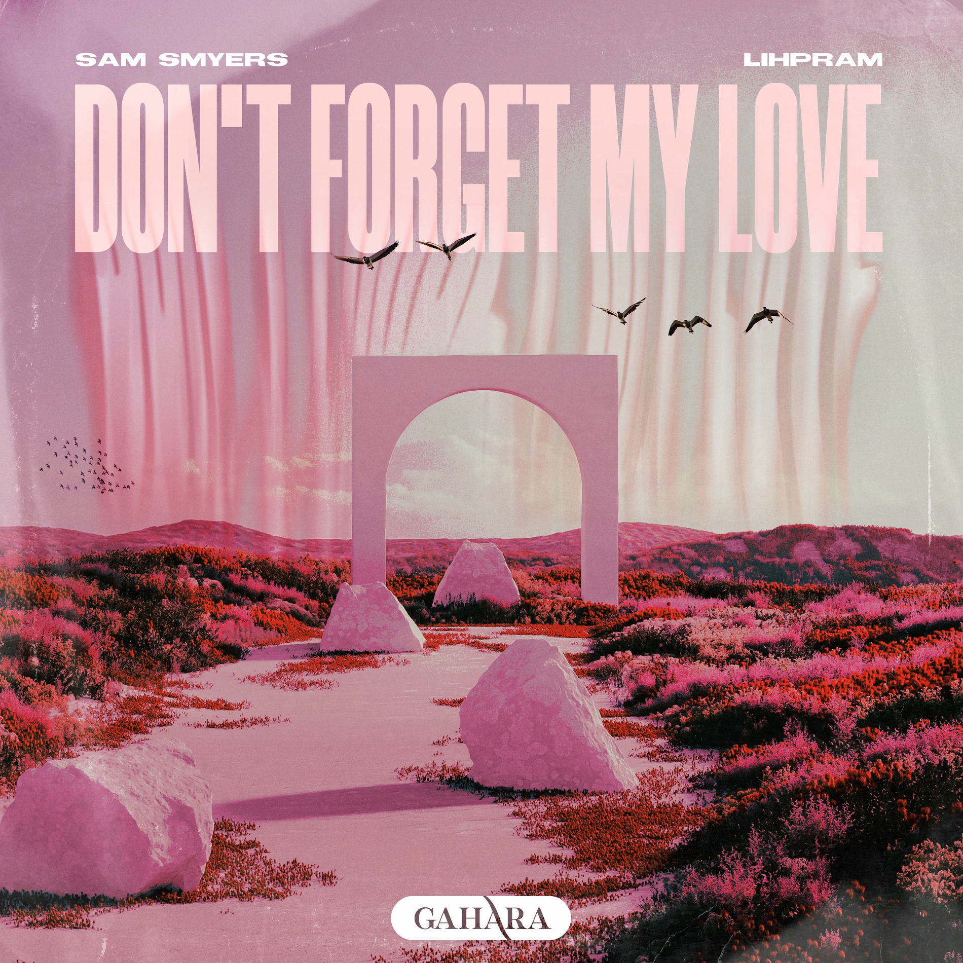 Album cover of Don't Forget My Love