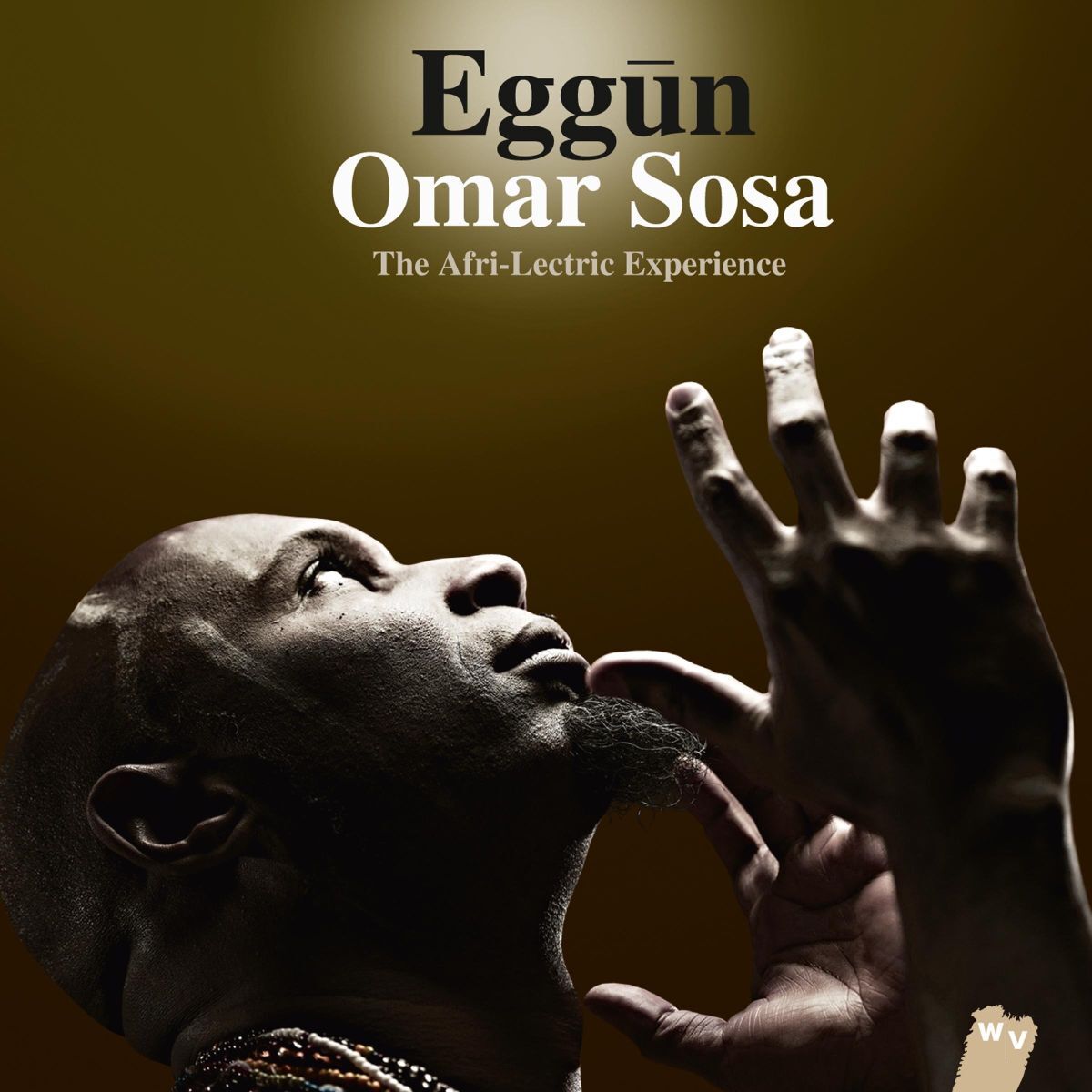 Album cover of Eggūn (The Afri-Lectric Experience)
