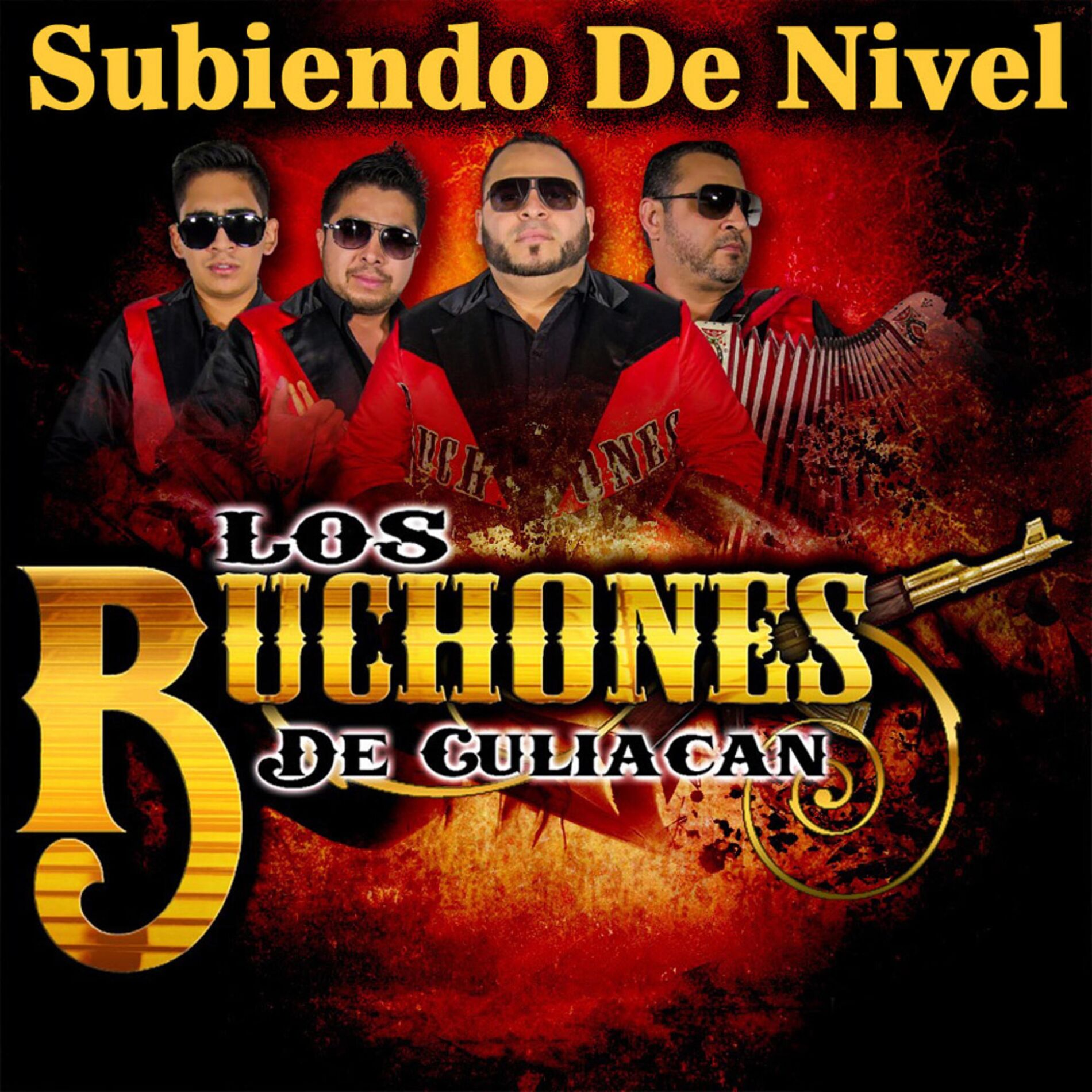 Album cover of Subiendo de Nivel