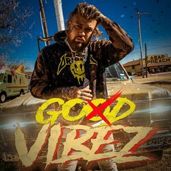 Cover of God Vibez