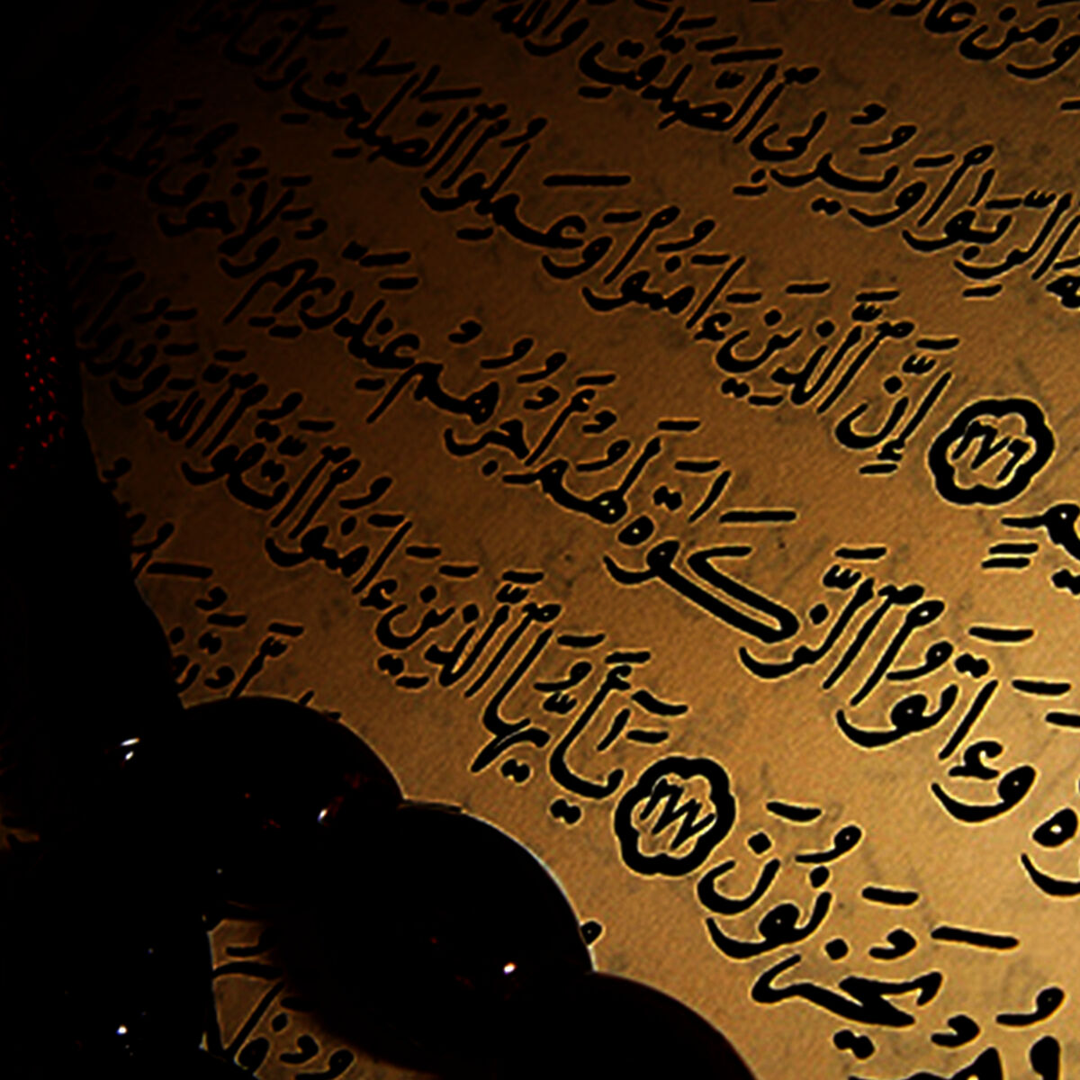 Album cover of The Holy Quran - Le Saint Coran, Vol. 12