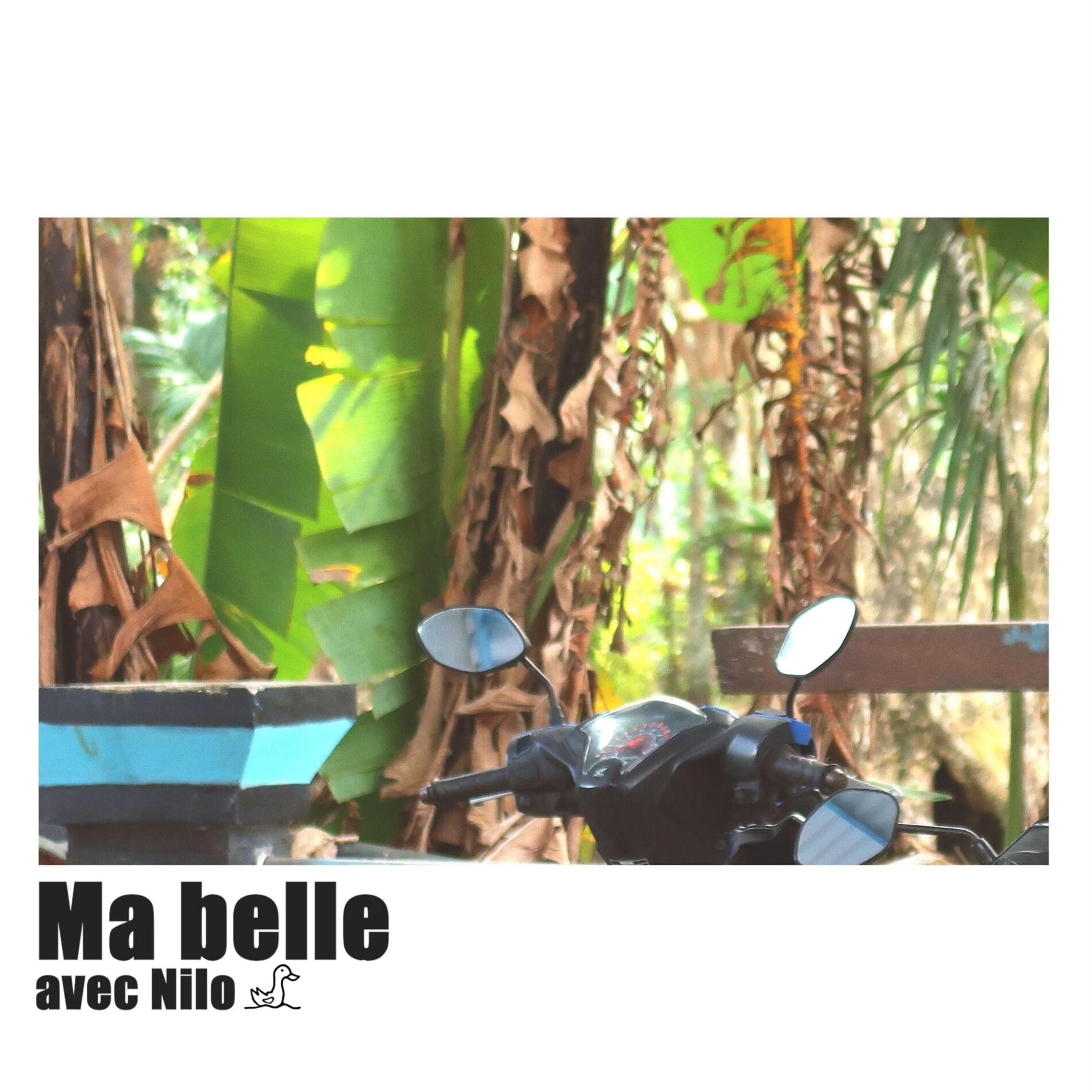 Album cover of Ma belle (feat. Nilo)