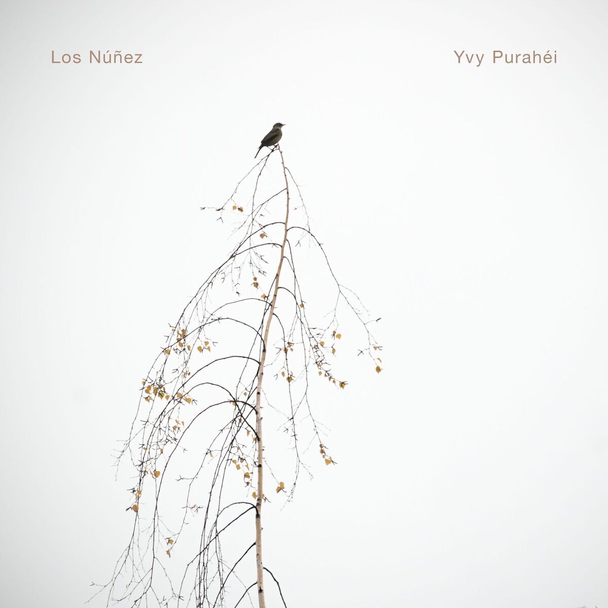 Album cover of Posadeña linda