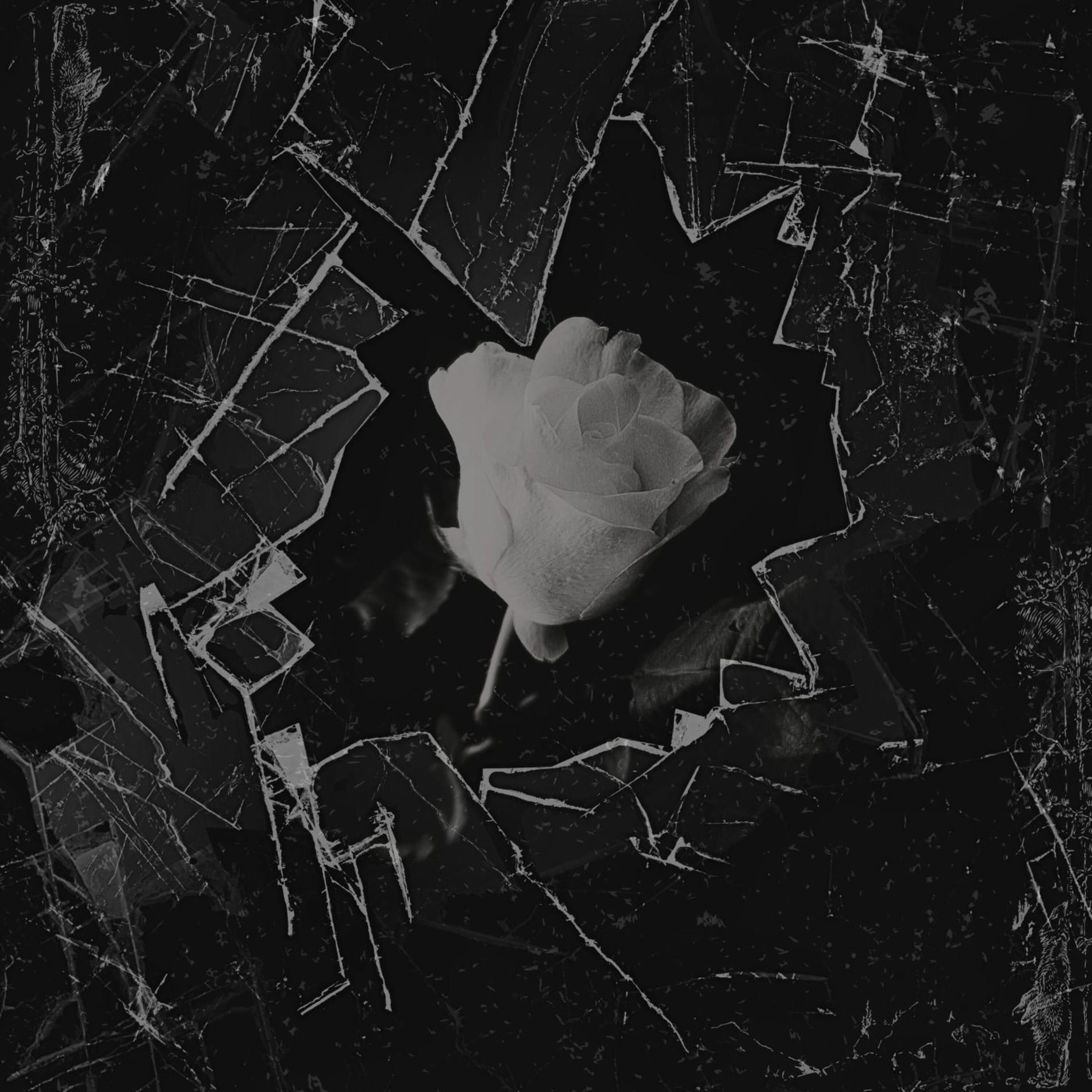 Album cover of GULLIVER