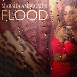 Cover of Flood