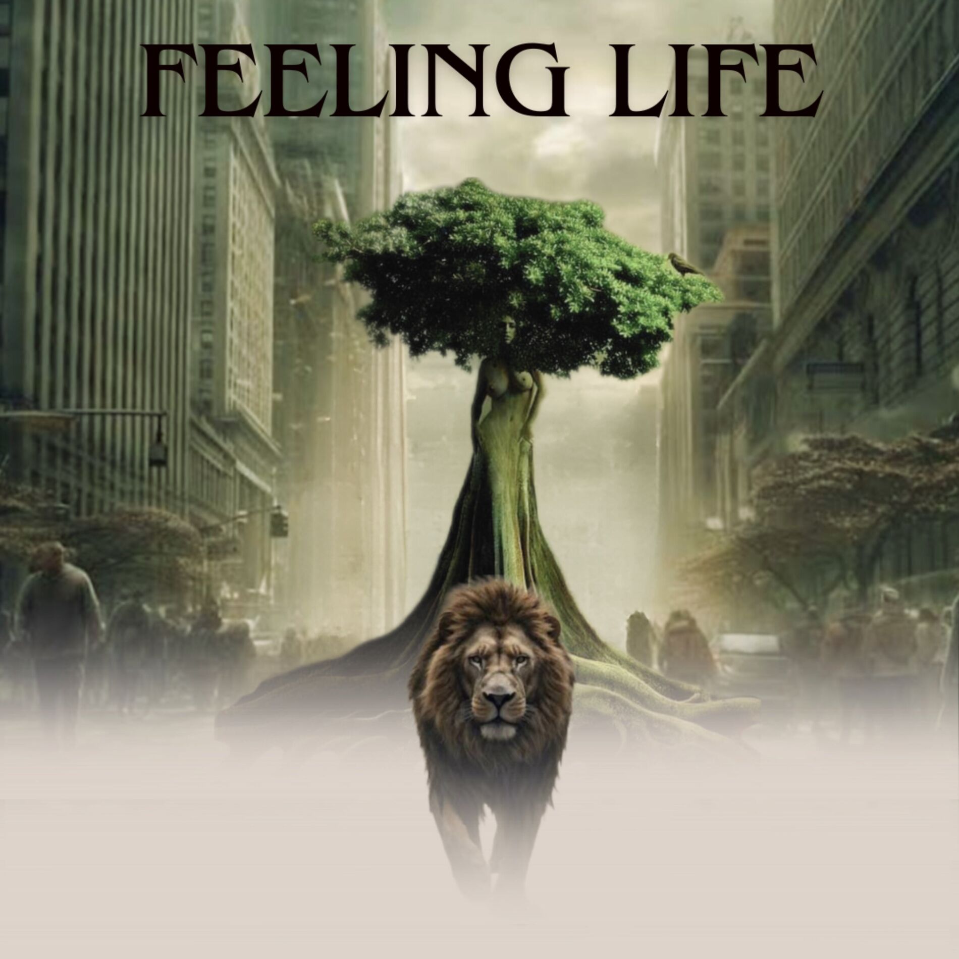 Album cover of Feeling Life