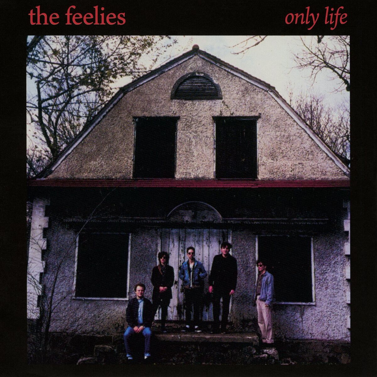 Album cover of Deep Fascination
