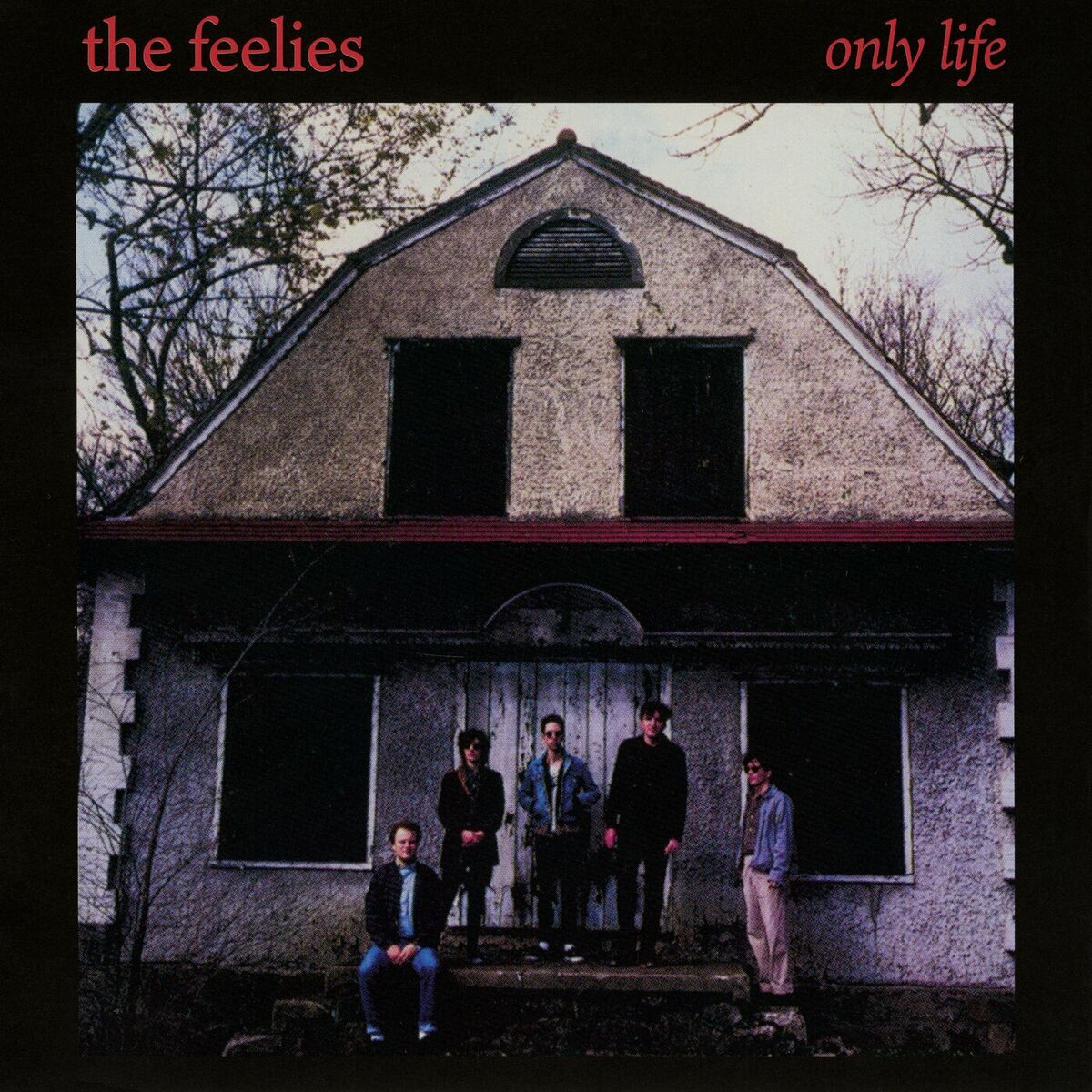 Album cover of Only Life