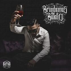 Cover of Brindemos por Lo Bueno