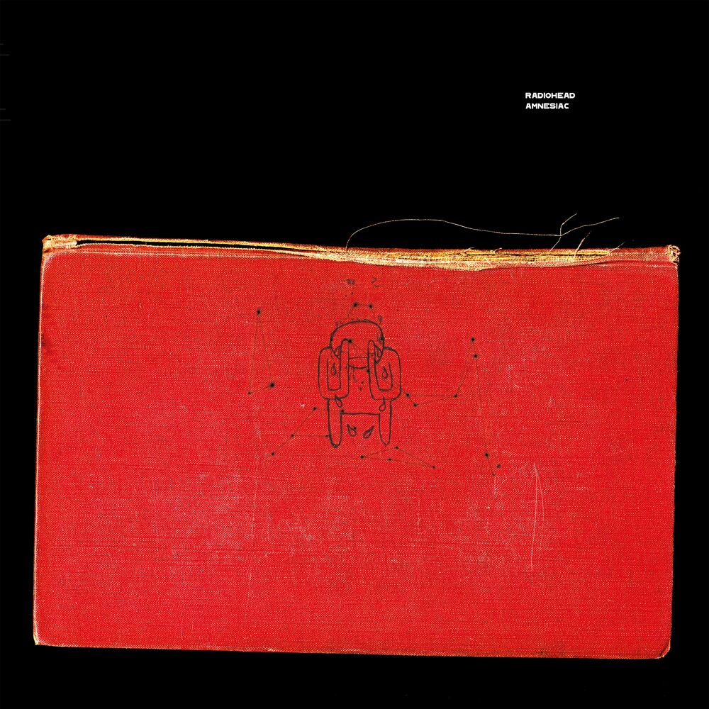 Picture of Amnesiac