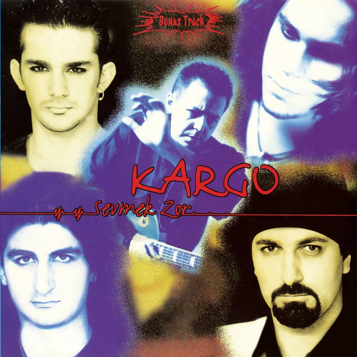 Album cover of Sevmek Zor