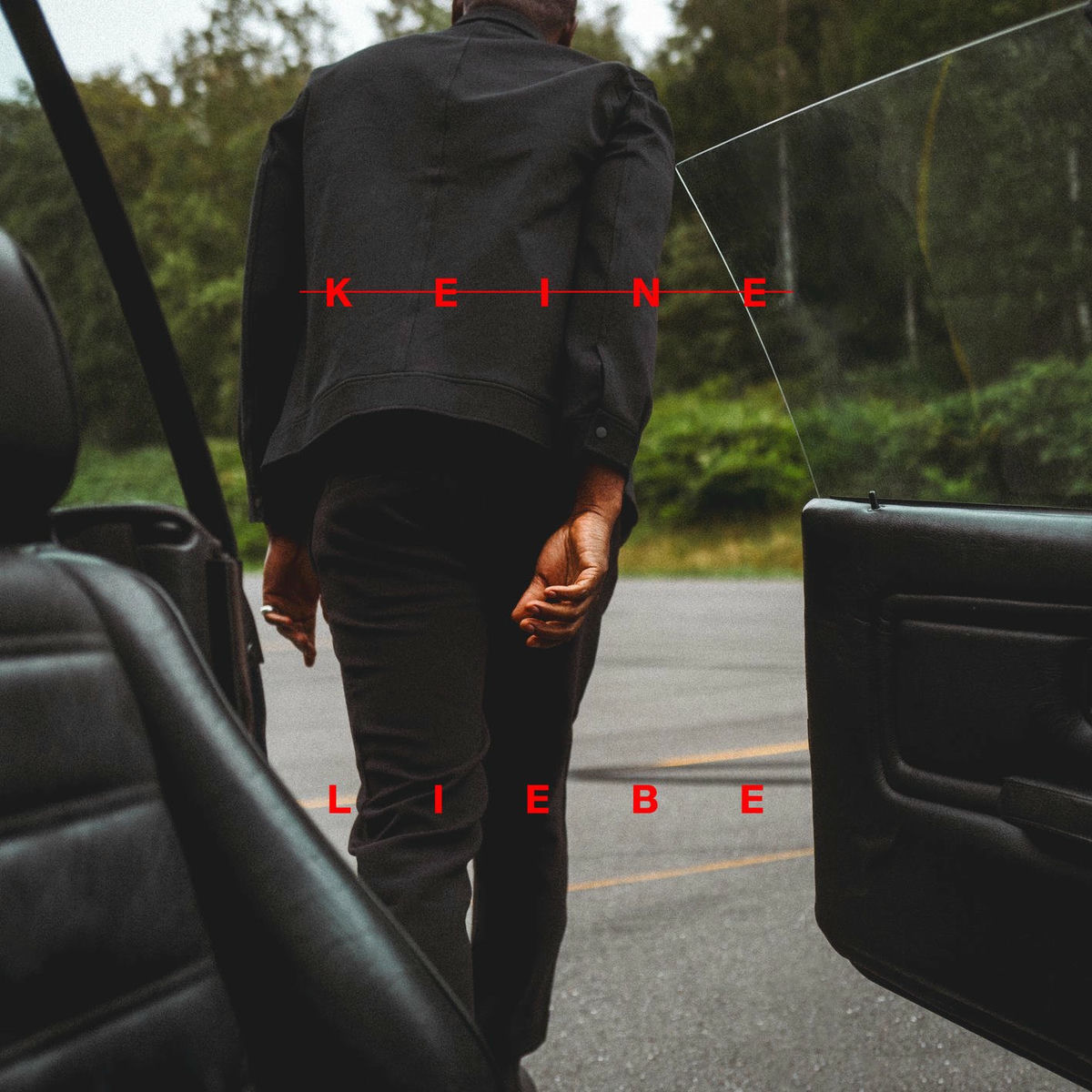 Album cover of Keine Liebe