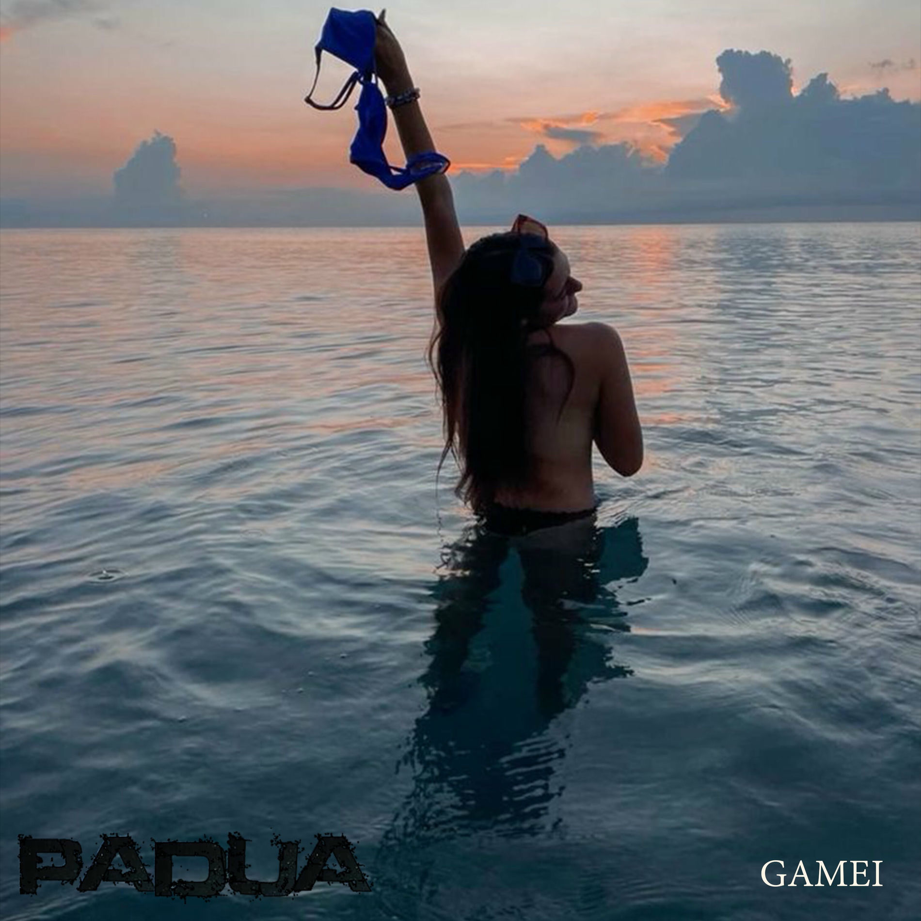 Album cover of Gamei