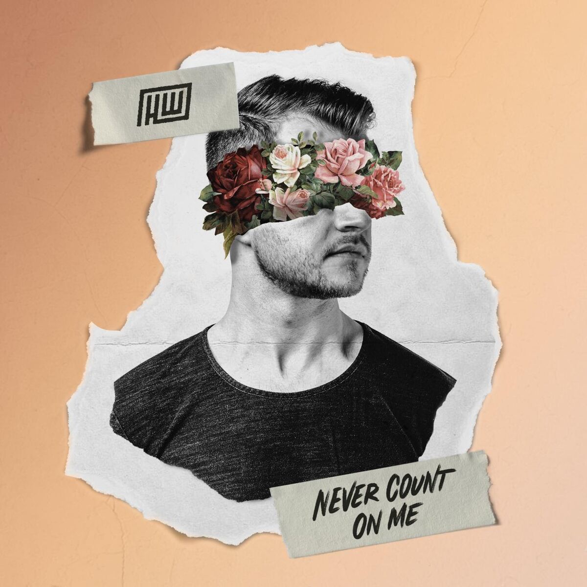 Album cover of Never Count On Me