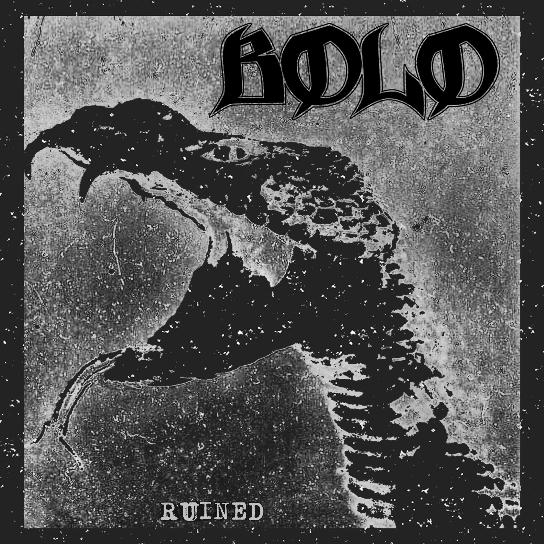 Album cover of Ruined