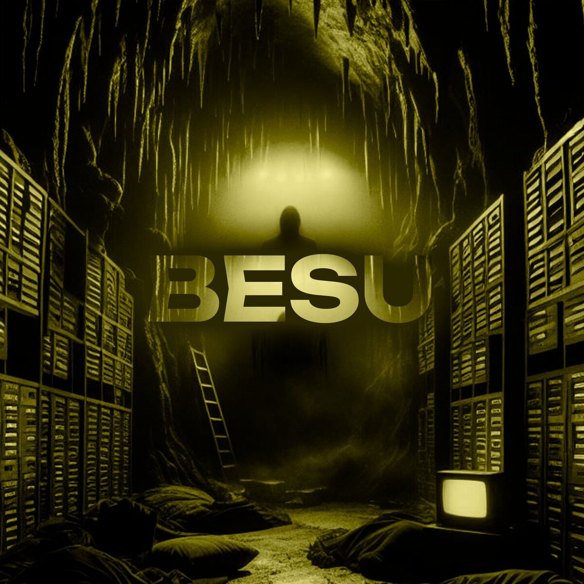 Album cover of BESU (Slowed + Reverb)