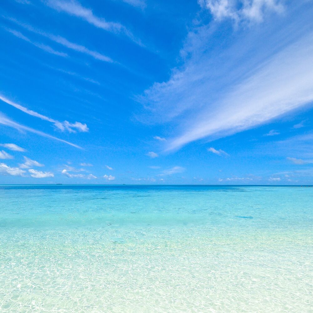 Picture of 50 Serenity Time