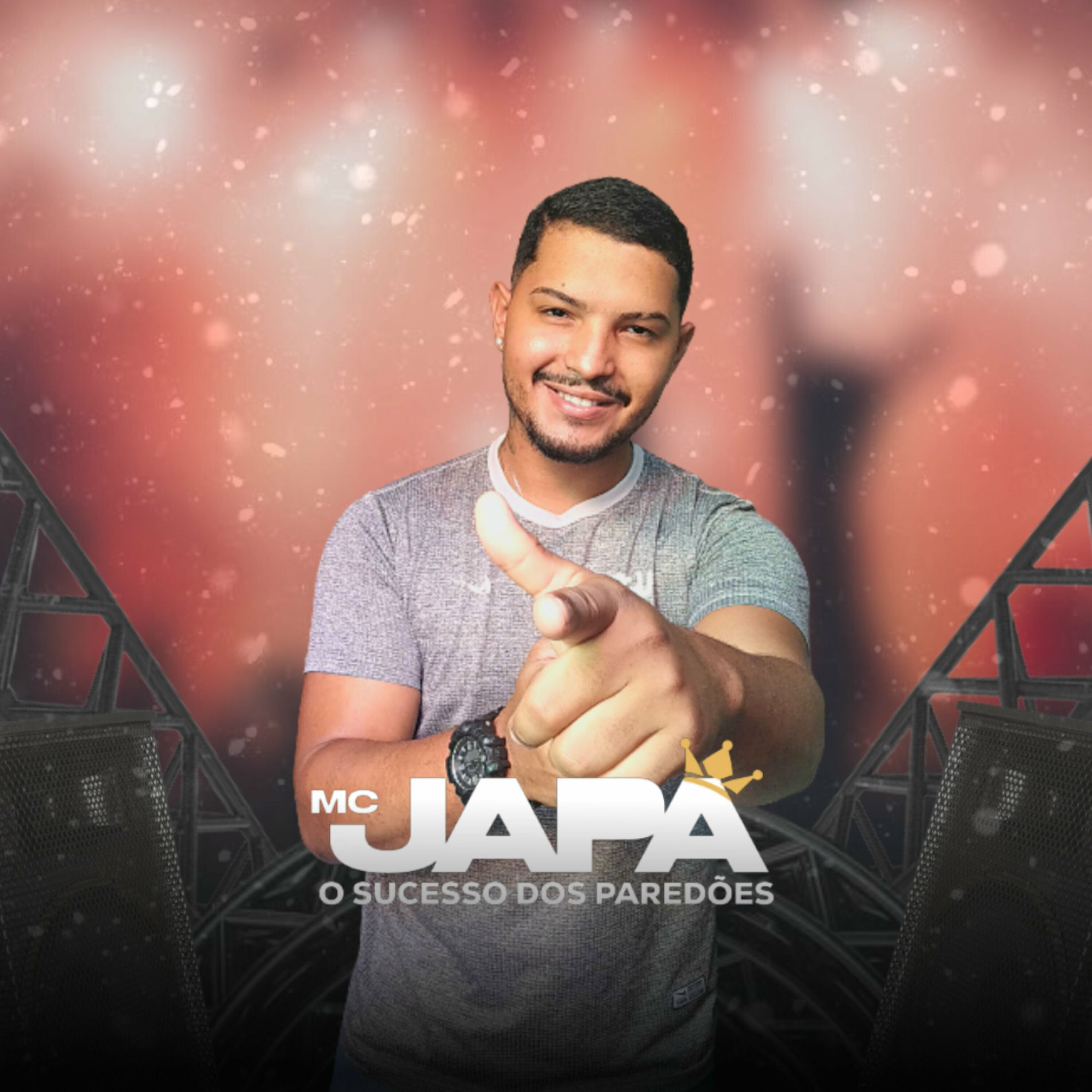 Album cover of O Sucesso dos Paredões