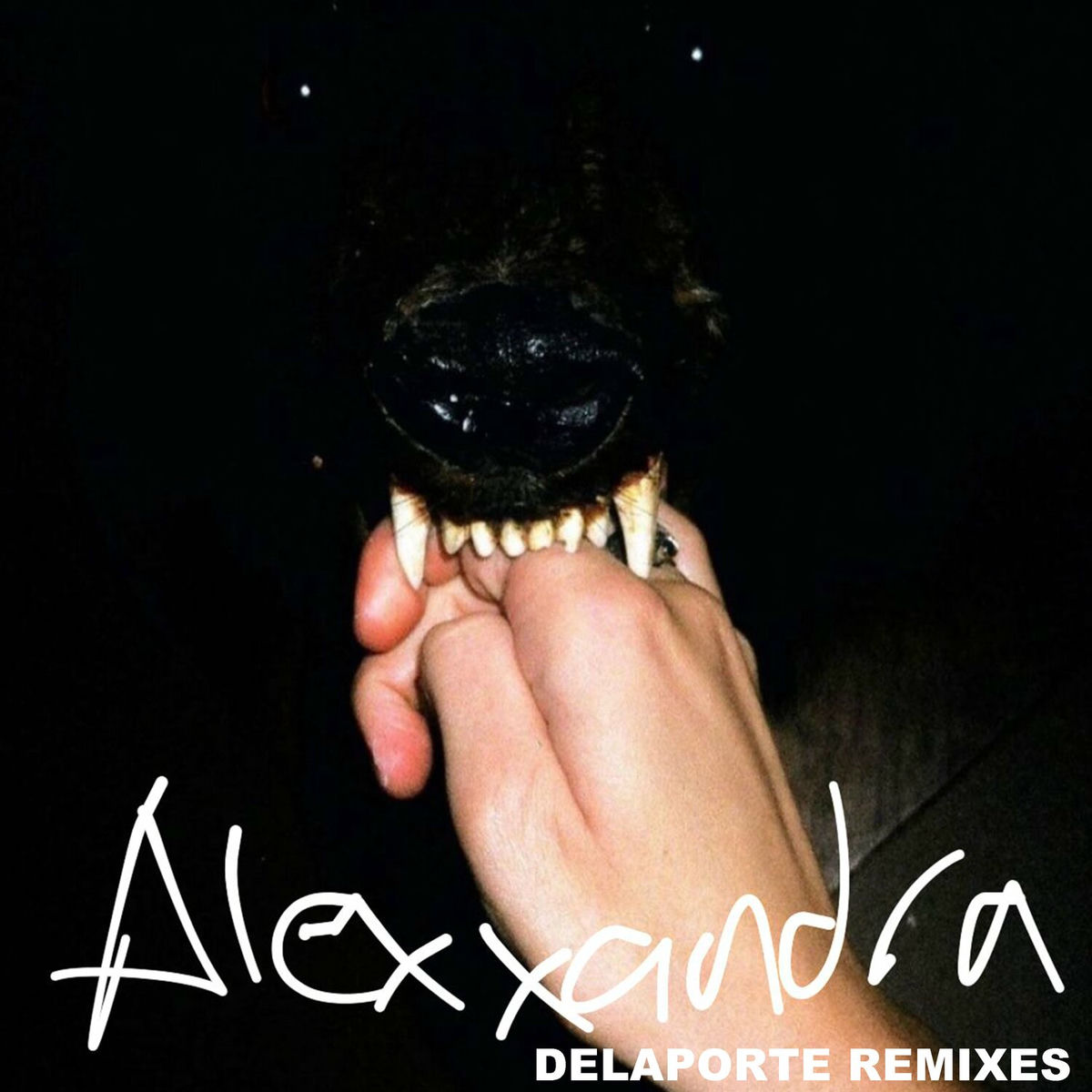 Album cover of Delaporte Remixes