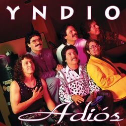 Cover of Adiós