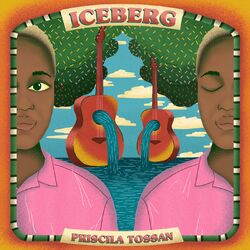 Cover of Iceberg