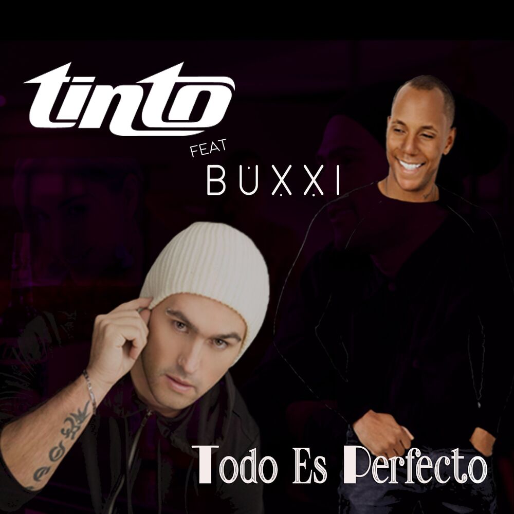 Picture of Todo Es Perfecto
