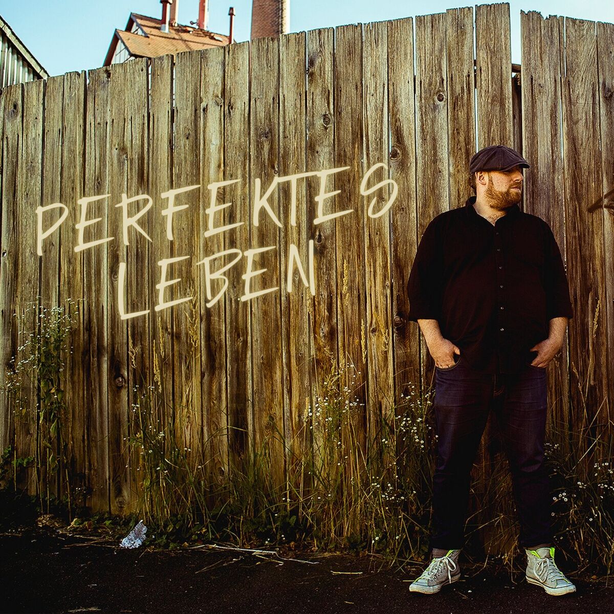 Album cover of Perfektes Leben