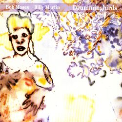 Cover of DrummingBirds