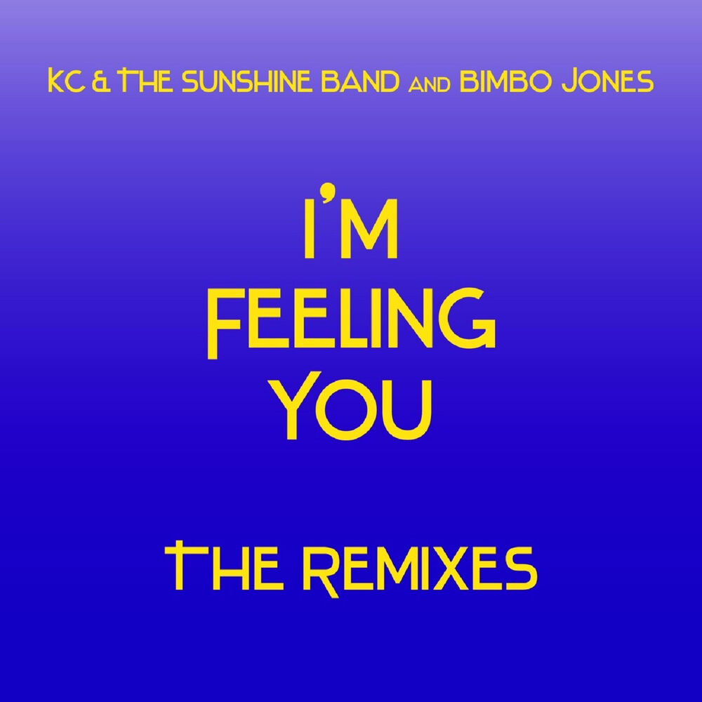Picture of I'm Feeling You - The Remixes