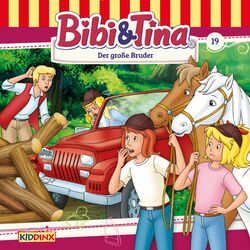 Cover of Folge 19: Der große Bruder