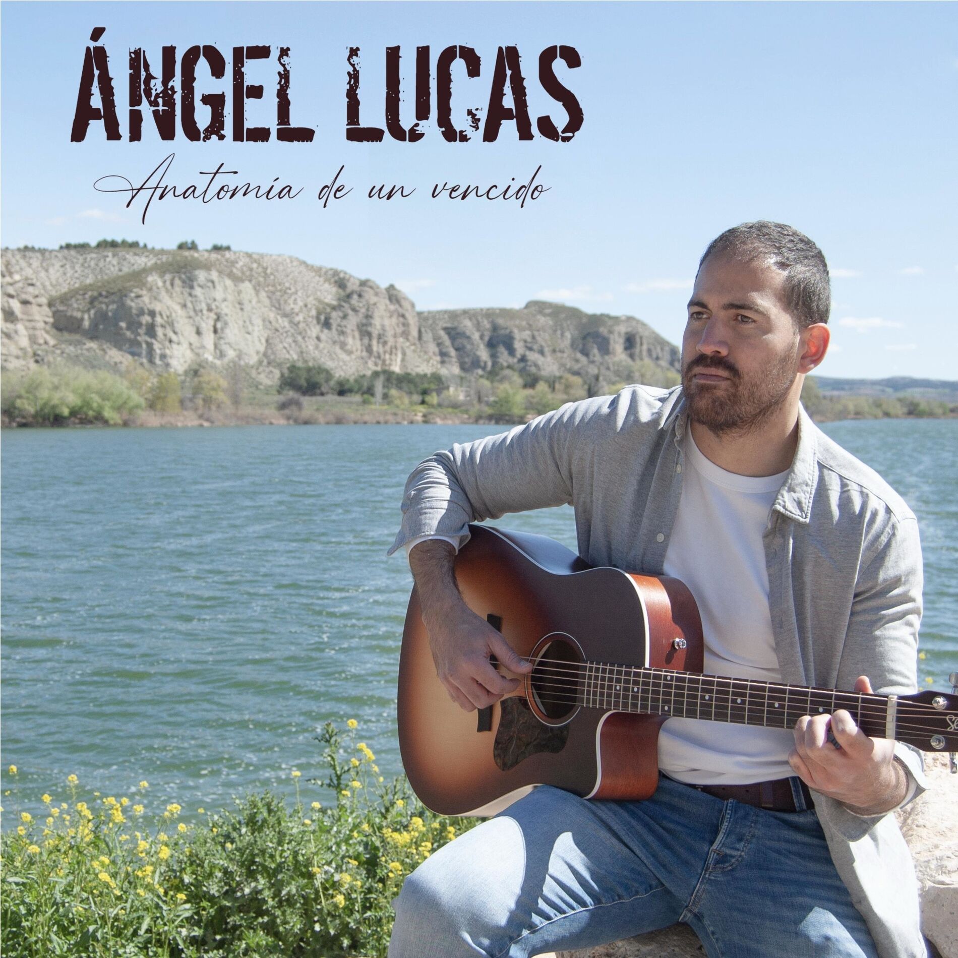 Album cover of Anatomía de un vencido