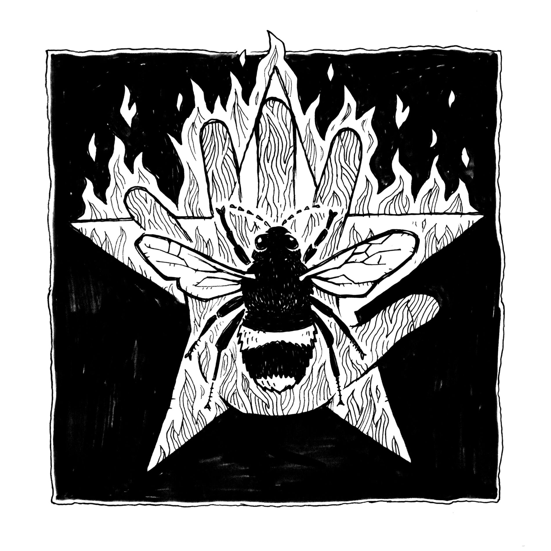 Album cover of Heroes Rise