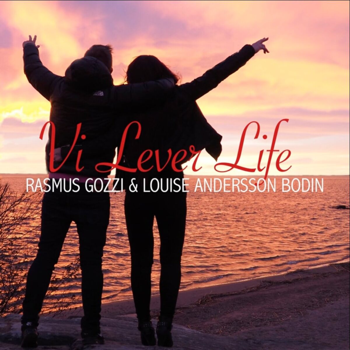 Album cover of Vi Lever Life