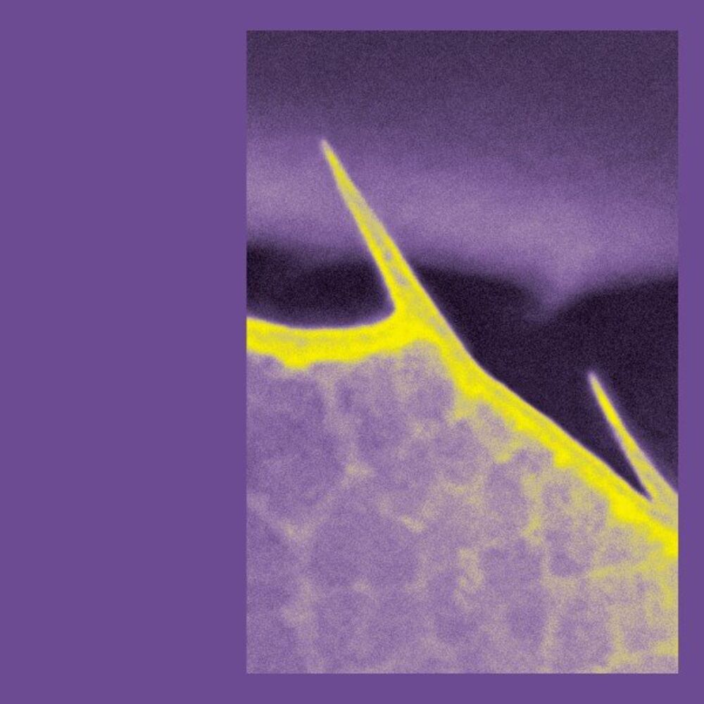 Picture of Linien