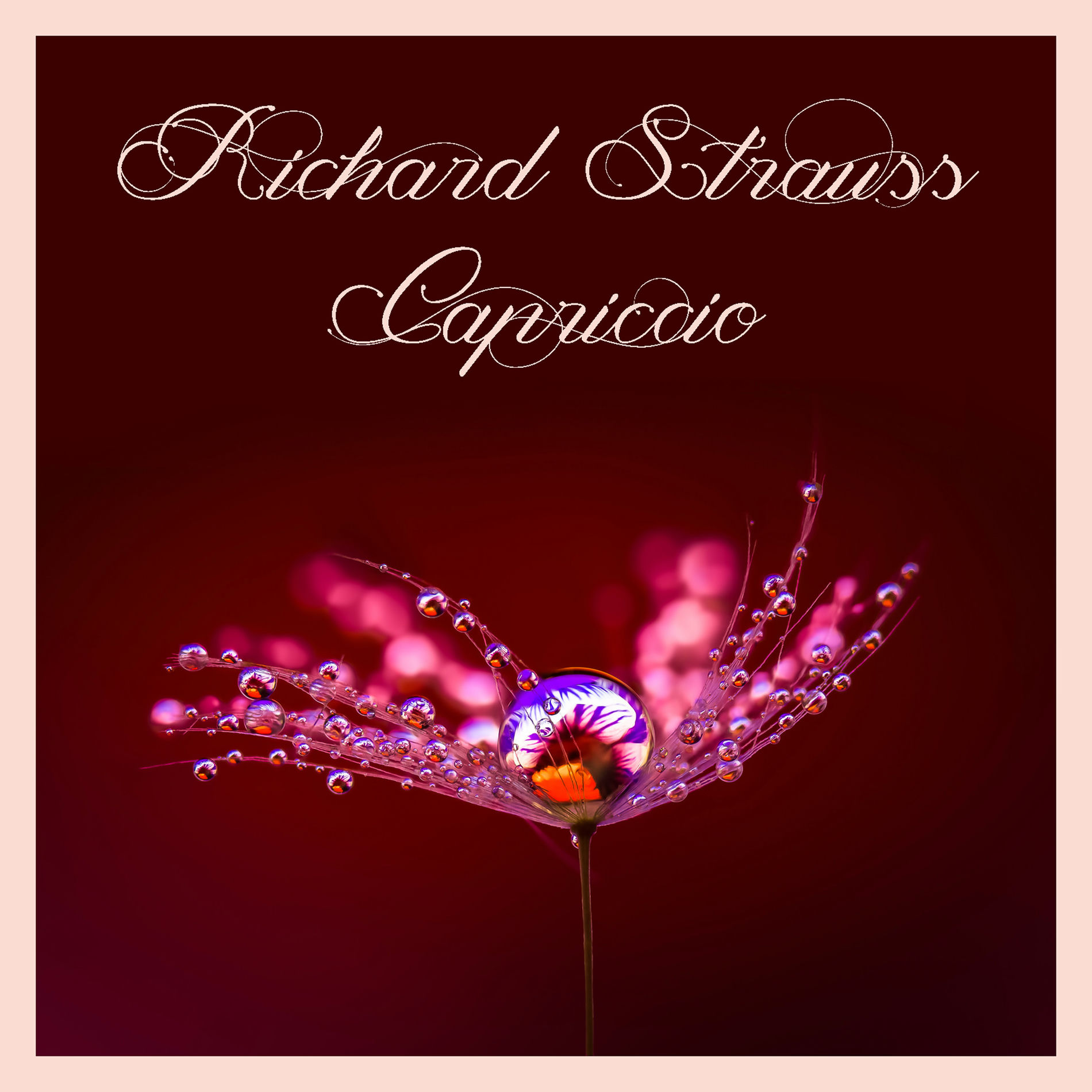 Album cover of Capriccio, Op. 85, Scene 6: 
