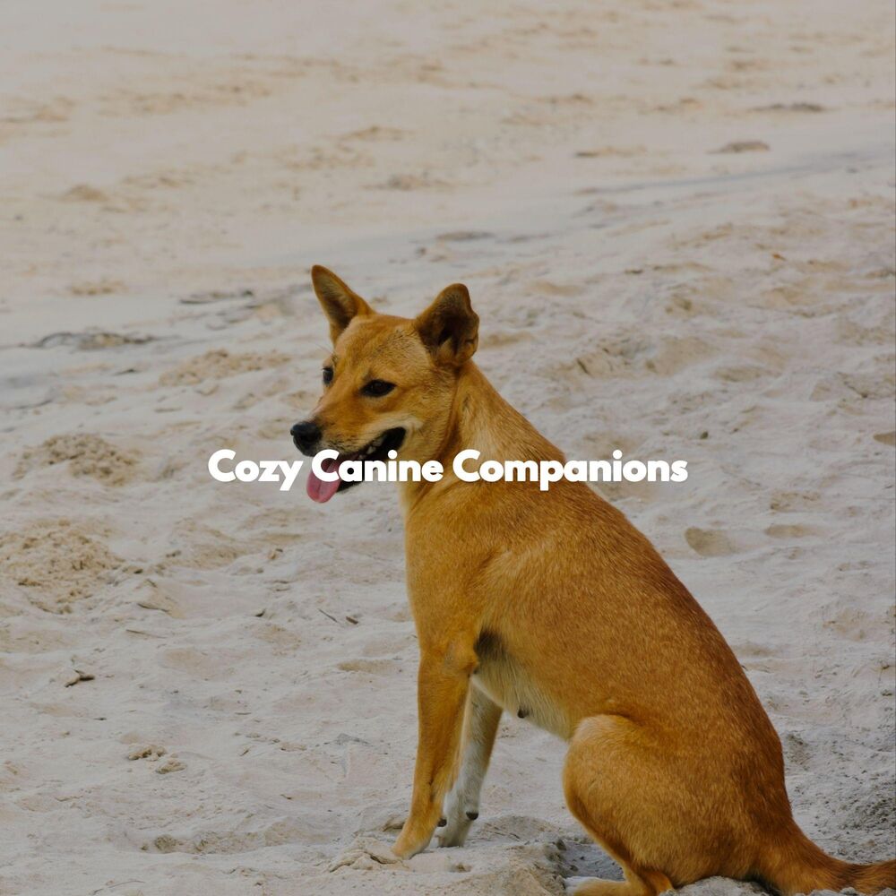 Picture of Cozy Canine Companions