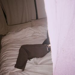 Cover of Already Falling