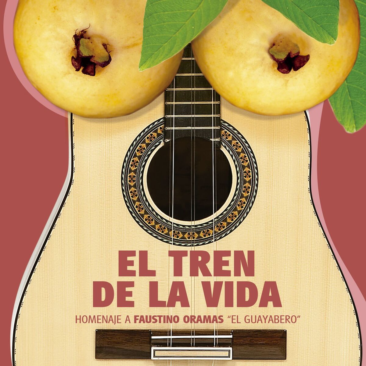 Album cover of El Tren de la Vida: Homenaje a Faustino Oramas 
