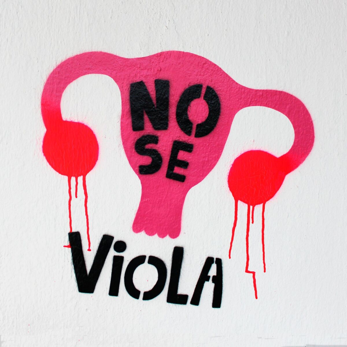 Album cover of No Se Viola