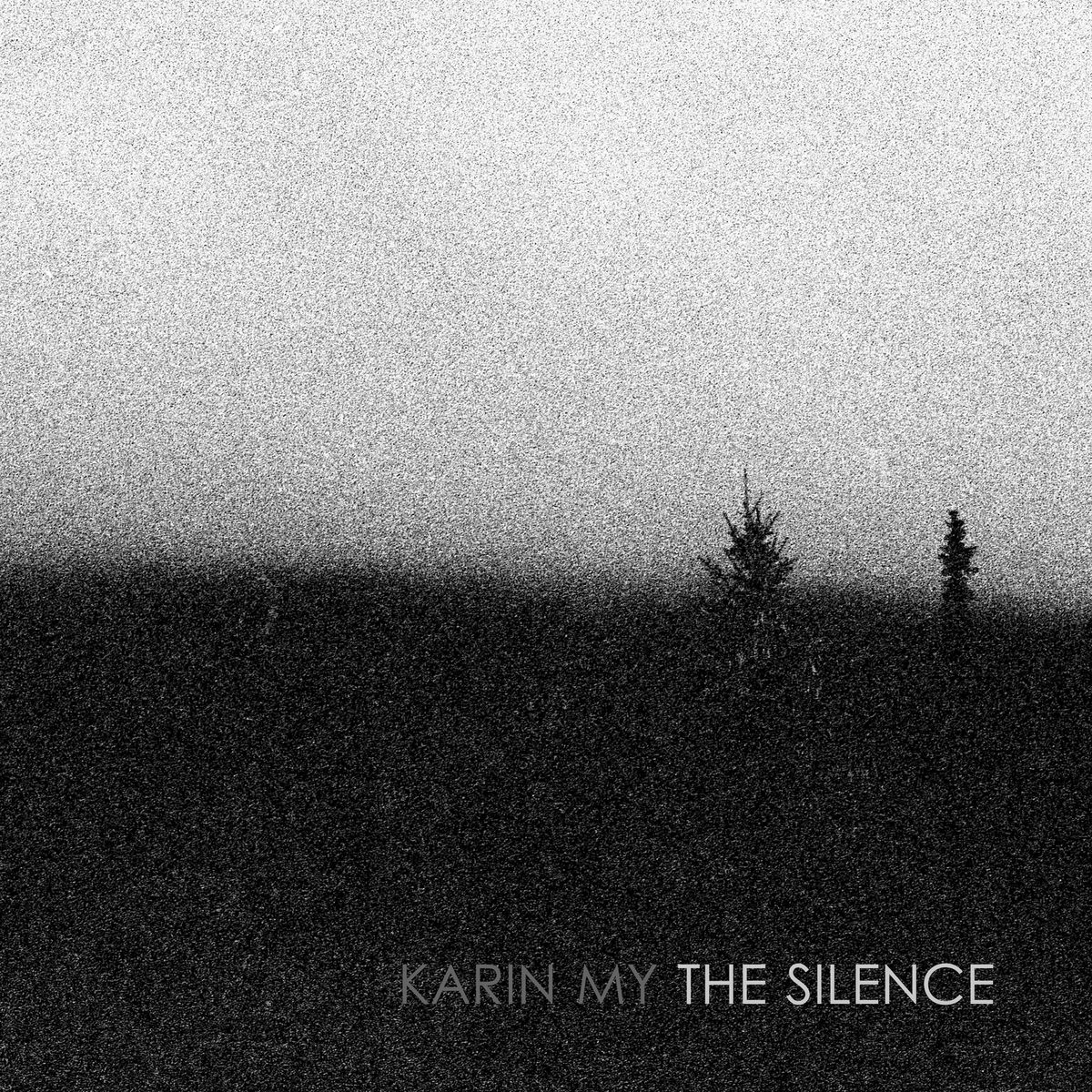 Album cover of The Silence