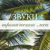 ПЕРОВА Лена - Там, Где Весна