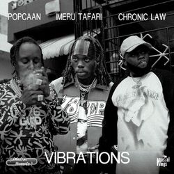 Cover of Vibrations