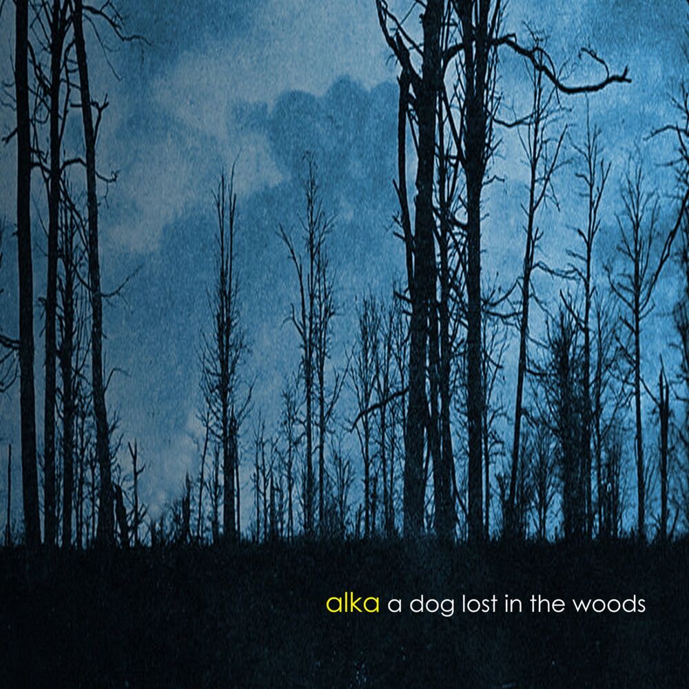 Picture of A Dog Lost In The Woods