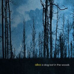 Cover of A Dog Lost In The Woods