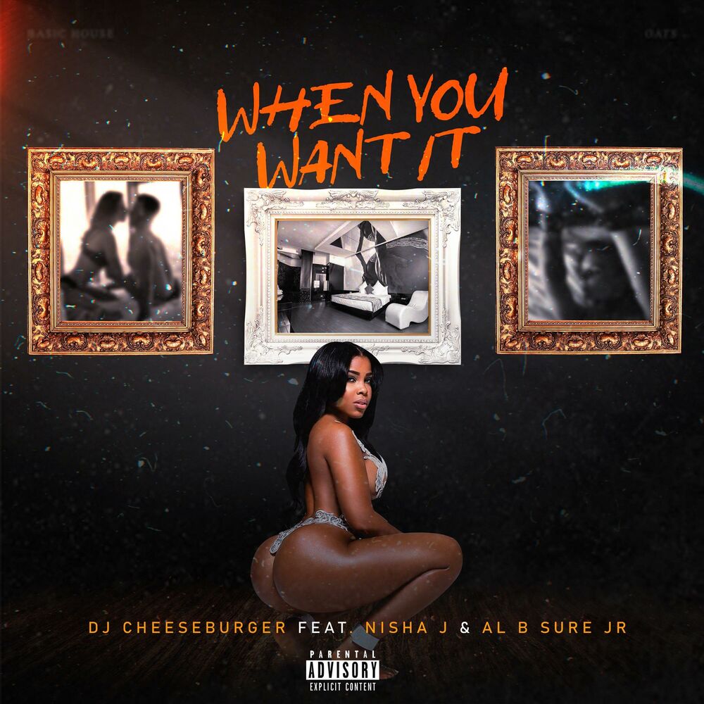 Picture of When You Want It (feat. Al B Sure Jr.)