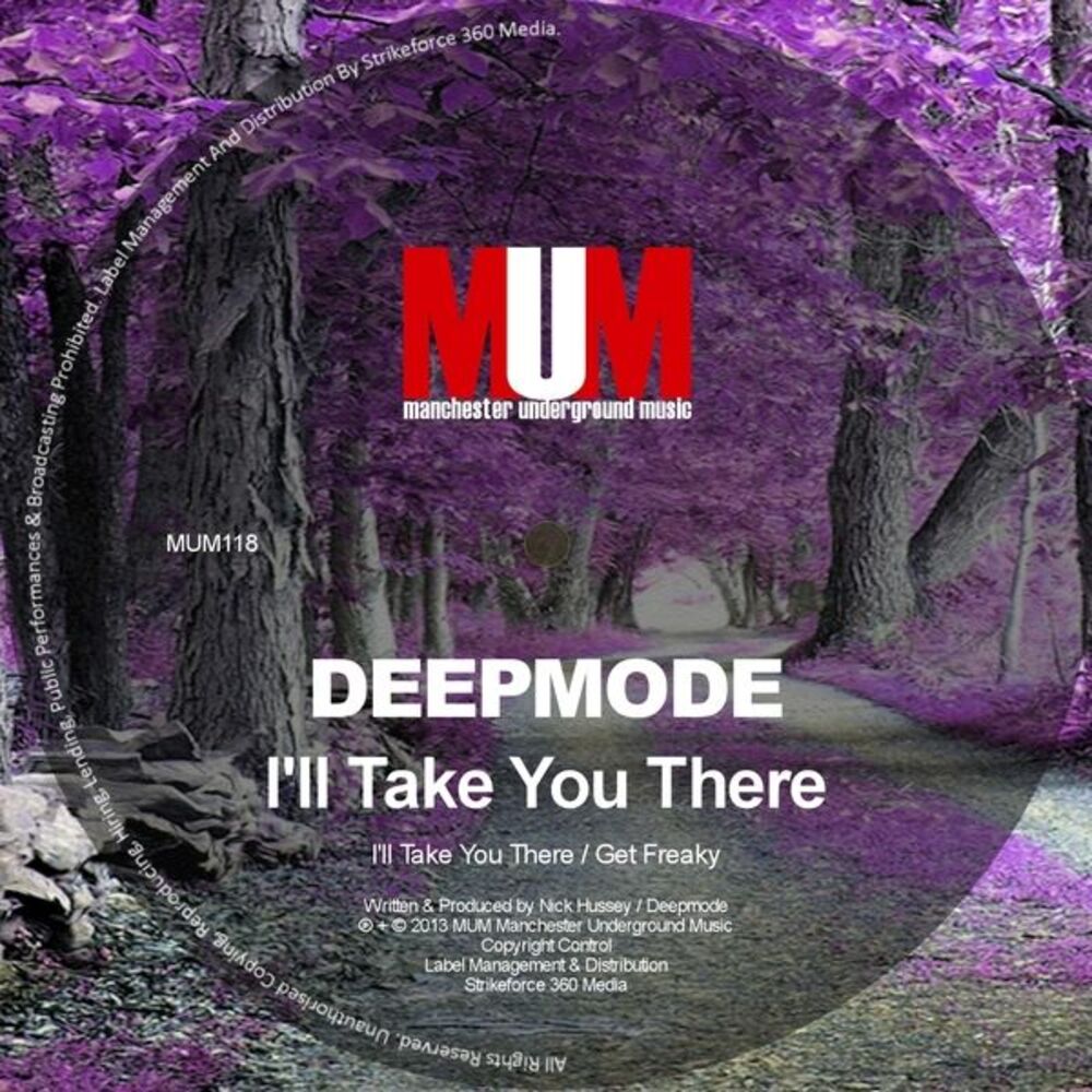 Picture of I'll Take You There