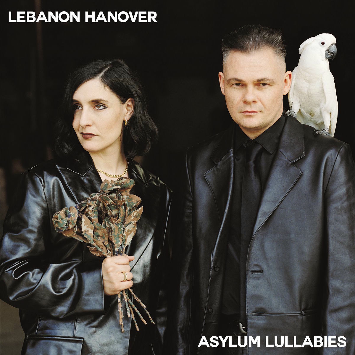 Album cover of Asylum Lullabies